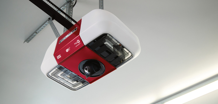 liftmaster garage door motor repair in Santa Paula